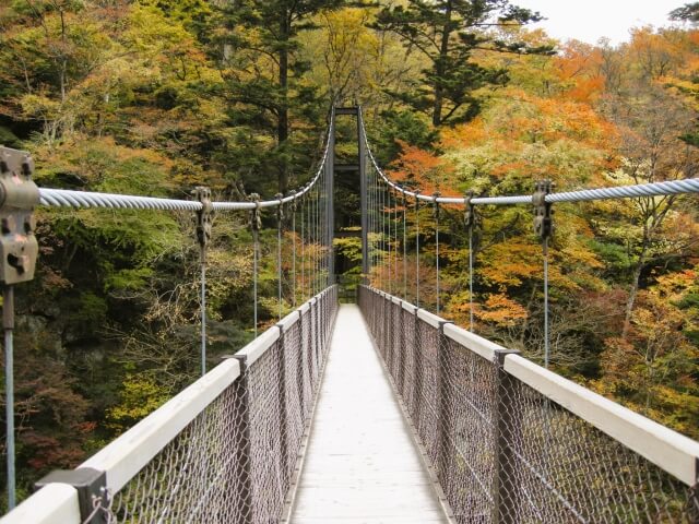 回顧の吊り橋紅葉