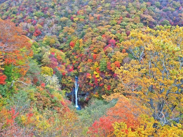 那須平成の森の駒止の滝