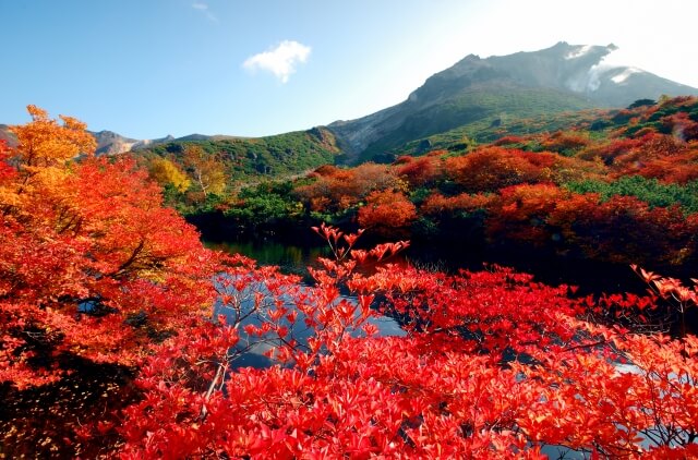 那須エリアの紅葉