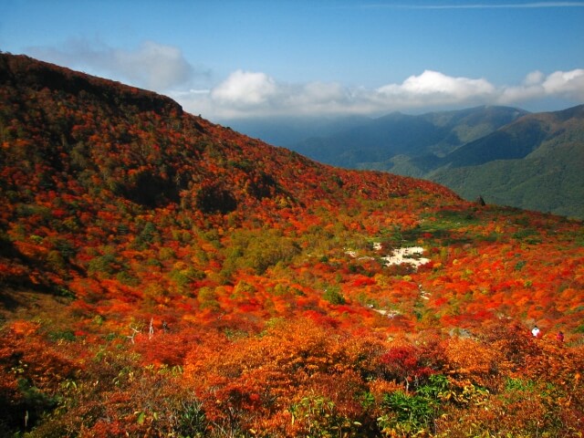 姥ヶ平の紅葉