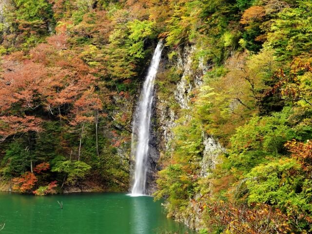 回顧の滝紅葉