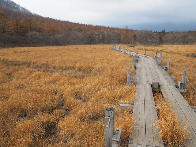 沼ツ原湿原の紅葉