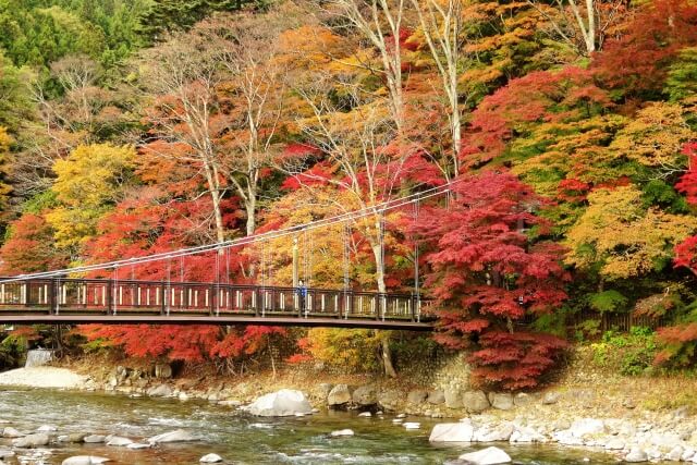 紅の吊り橋の紅葉