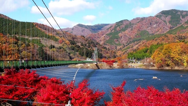 もみじ谷大吊り橋の紅葉